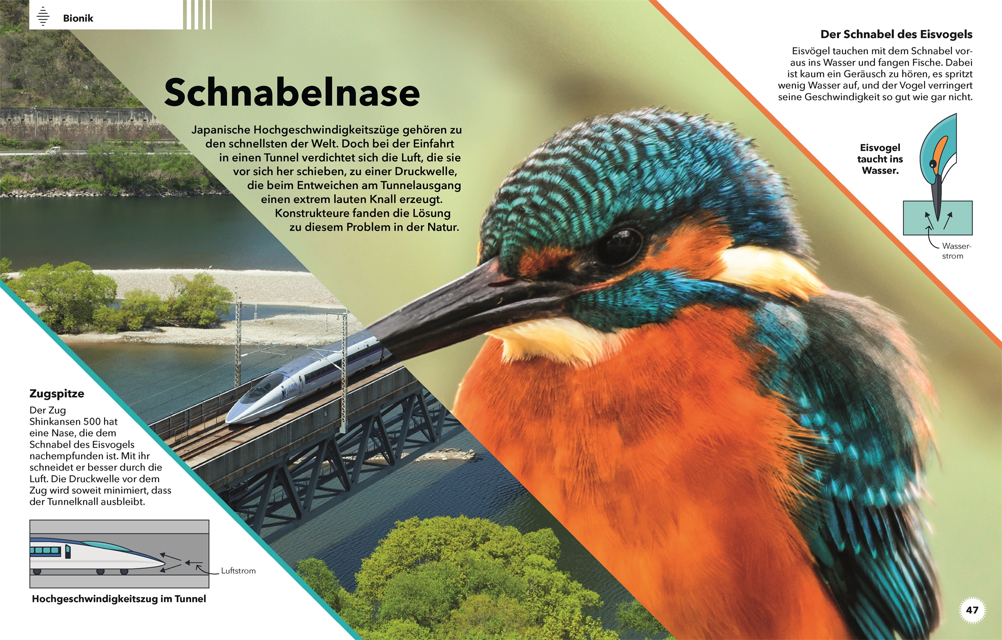 9783831042005_innenansicht_06 9783831042005_innenansicht_06.jpg