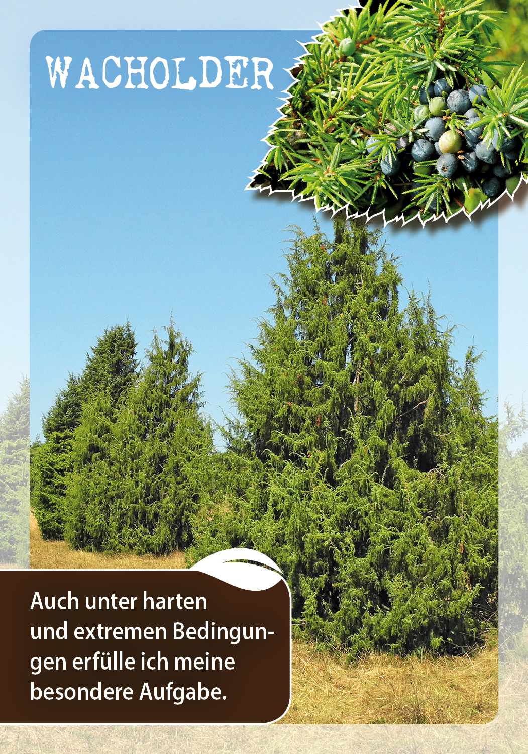 9783843491846_innenansicht_05.jpg