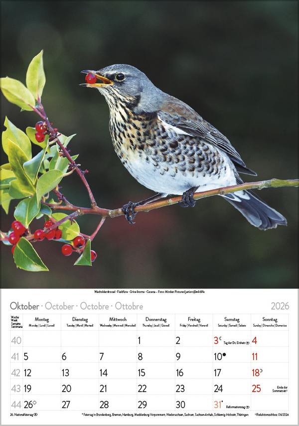 9783731883647_innenansicht_10 9783731883647_innenansicht_10.jpg