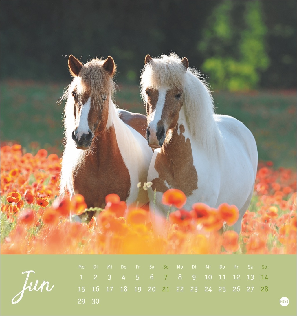 9783756410477_innenansicht_06 9783756410477_innenansicht_06.jpg