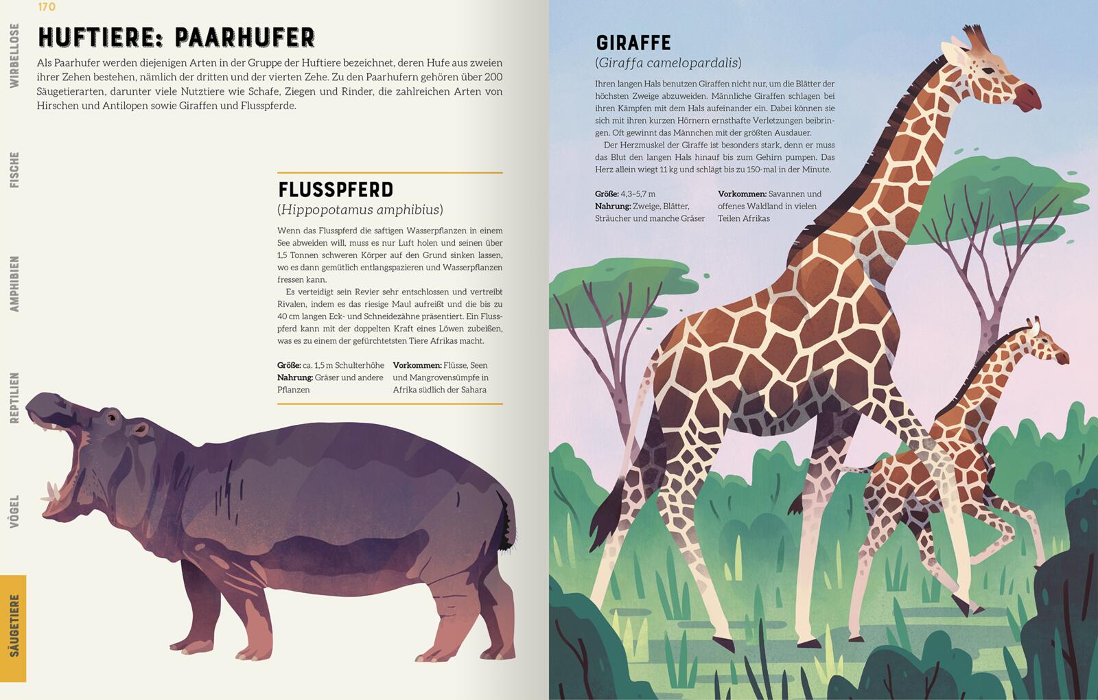 9783845848297_innenansicht_07 9783845848297_innenansicht_07.jpg