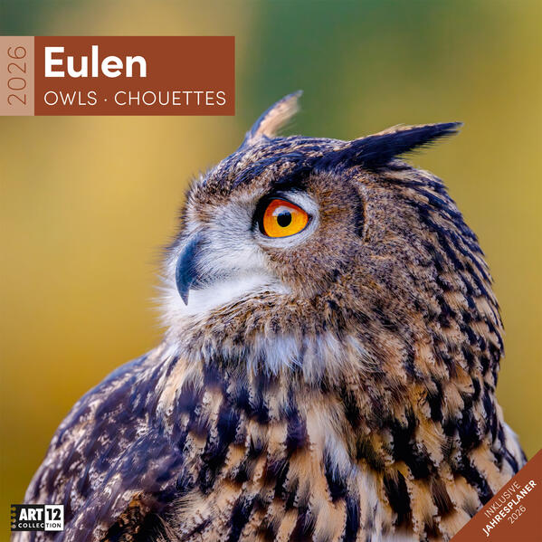 9783838446240 9783838446240