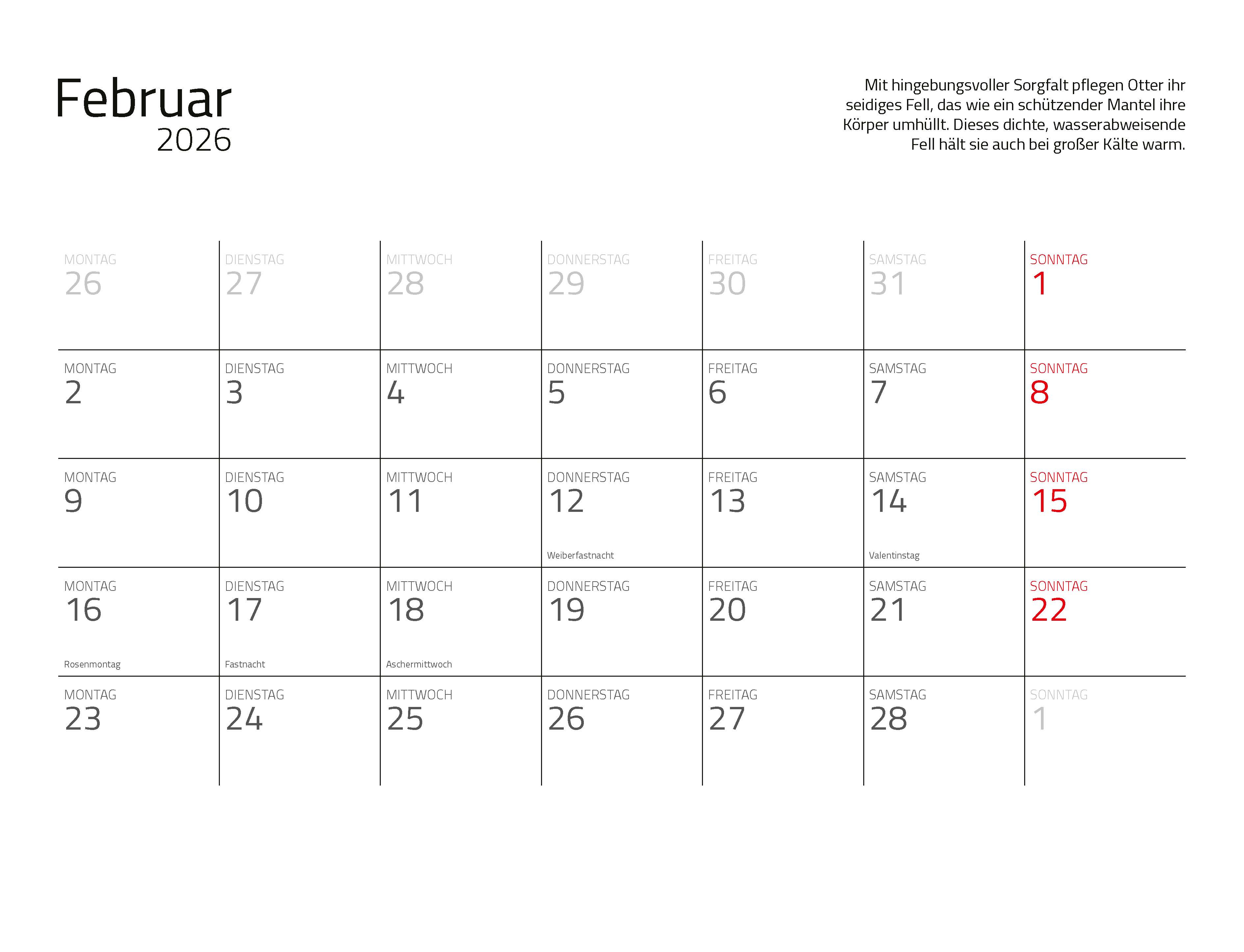 9783966649964_innenansicht_04 9783966649964_innenansicht_04.jpg