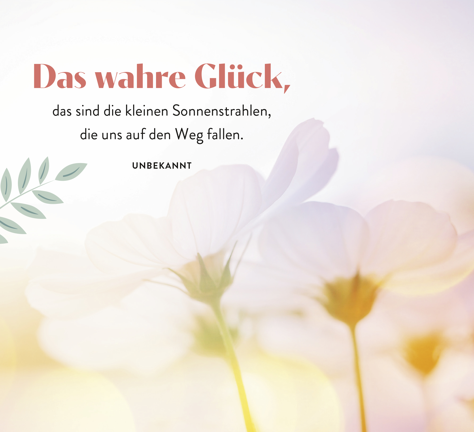 9783848502011_innenansicht_04.jpg