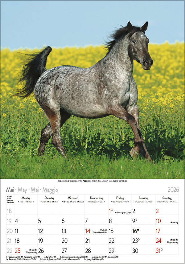 9783731883623_innenansicht_05 9783731883623_innenansicht_05.jpg