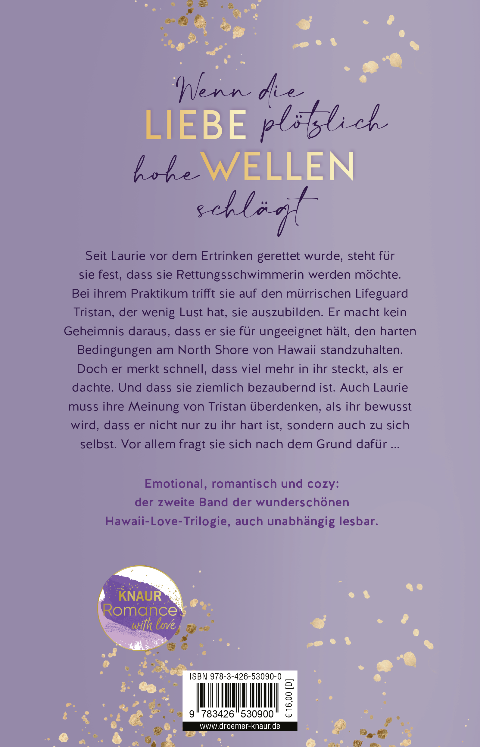 9783426530900_BC 9783426530900_BC.png