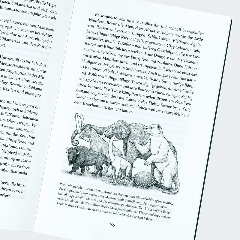 9783446281394_innenansicht_05 9783446281394_innenansicht_05.jpg