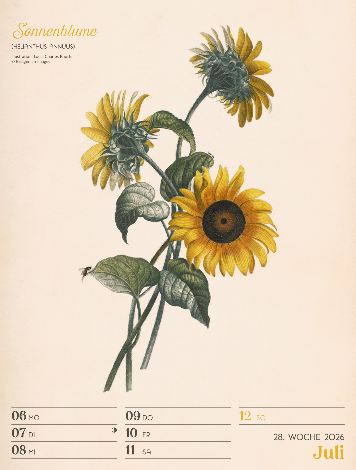 9783838436128_innenansicht_31 9783838436128_innenansicht_31.jpg