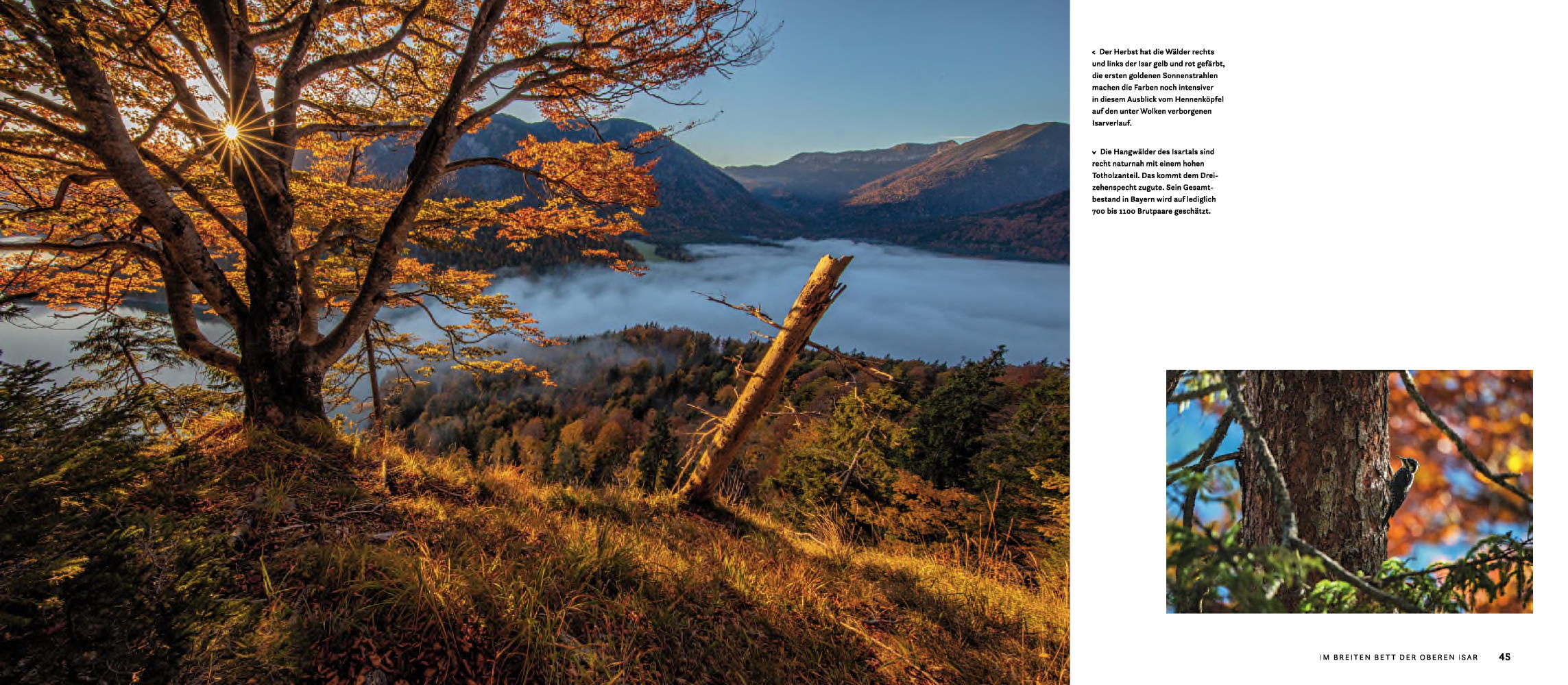 9783957284457_innenansicht_05 9783957284457_innenansicht_05.jpg