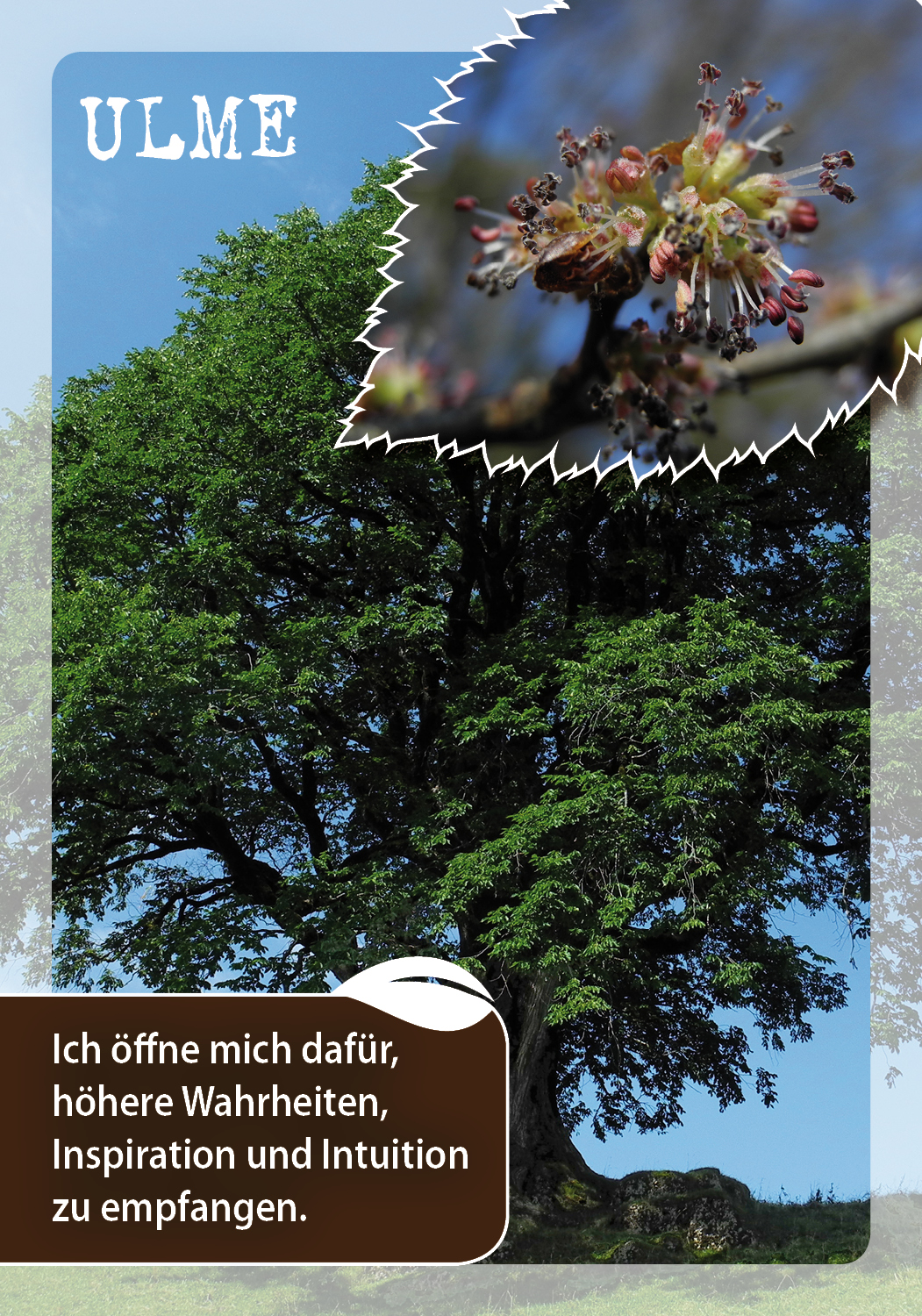 9783843491846_innenansicht_01.jpg