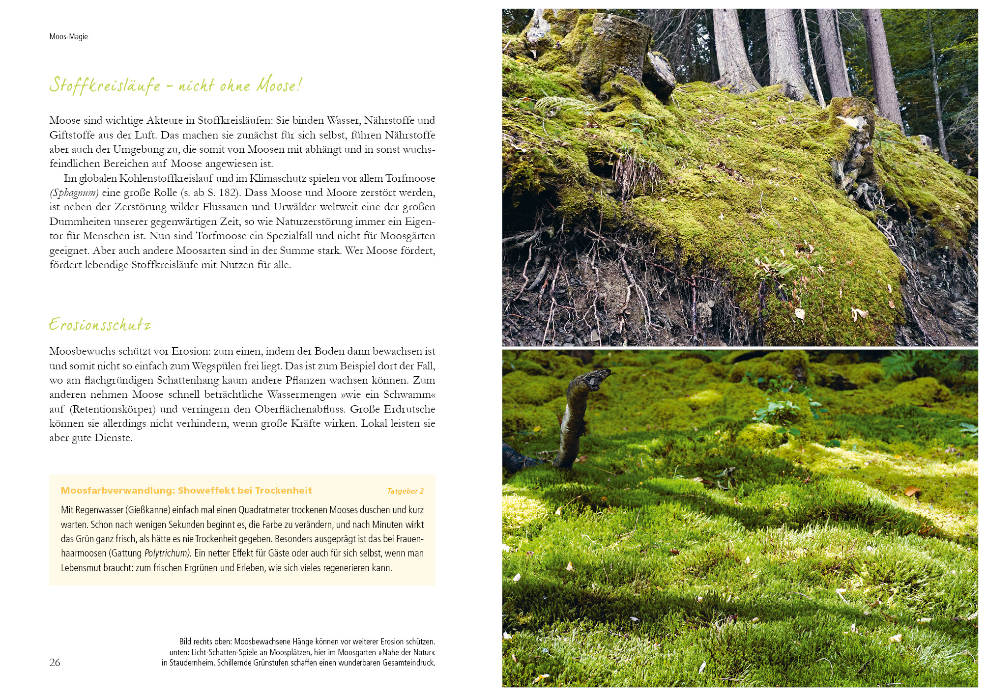 9783895663871_innenansicht_01 9783895663871_innenansicht_01.jpg