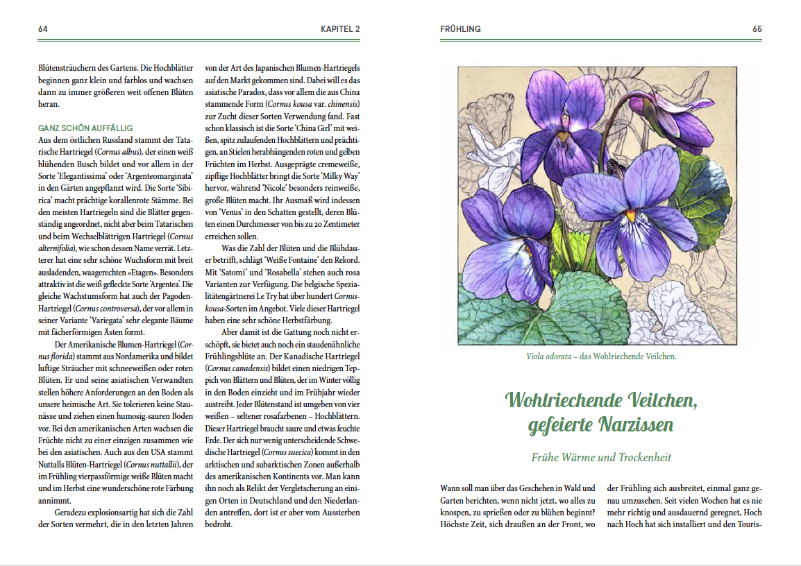 9783945543733_innenansicht_01 9783945543733_innenansicht_01.jpg