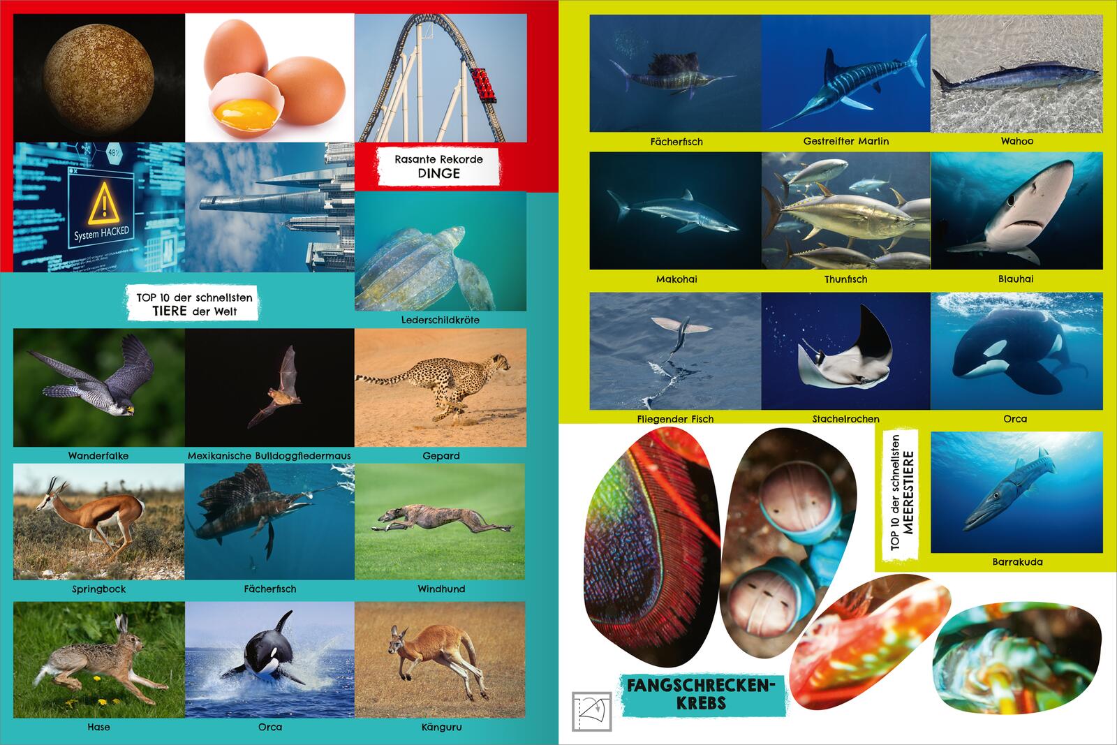 9783845862170_innenansicht_05 9783845862170_innenansicht_05.jpg