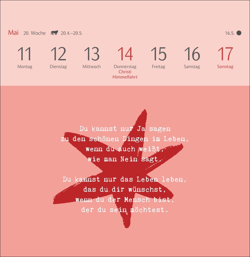 9783840037962_innenansicht_06.jpg