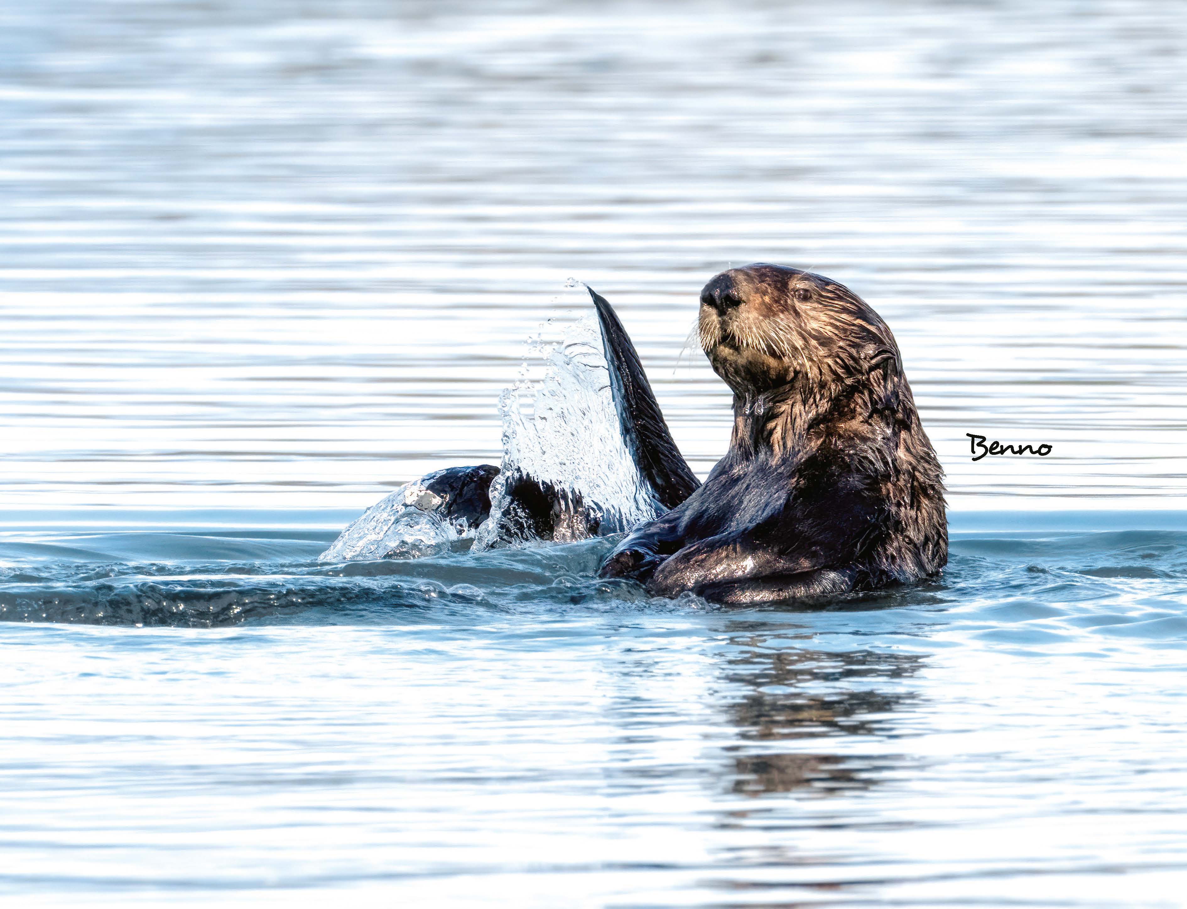 9783966649964_innenansicht_05 9783966649964_innenansicht_05.jpg