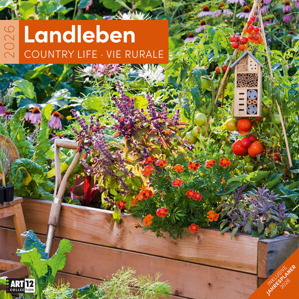 9783838446165 9783838446165