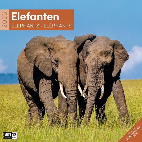 9783838446288 9783838446288