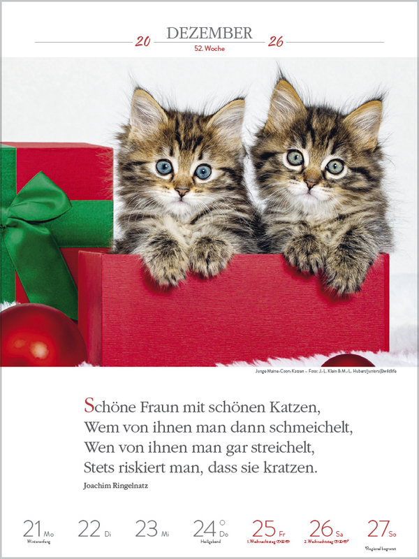 9783731884354_innenansicht_13.jpg