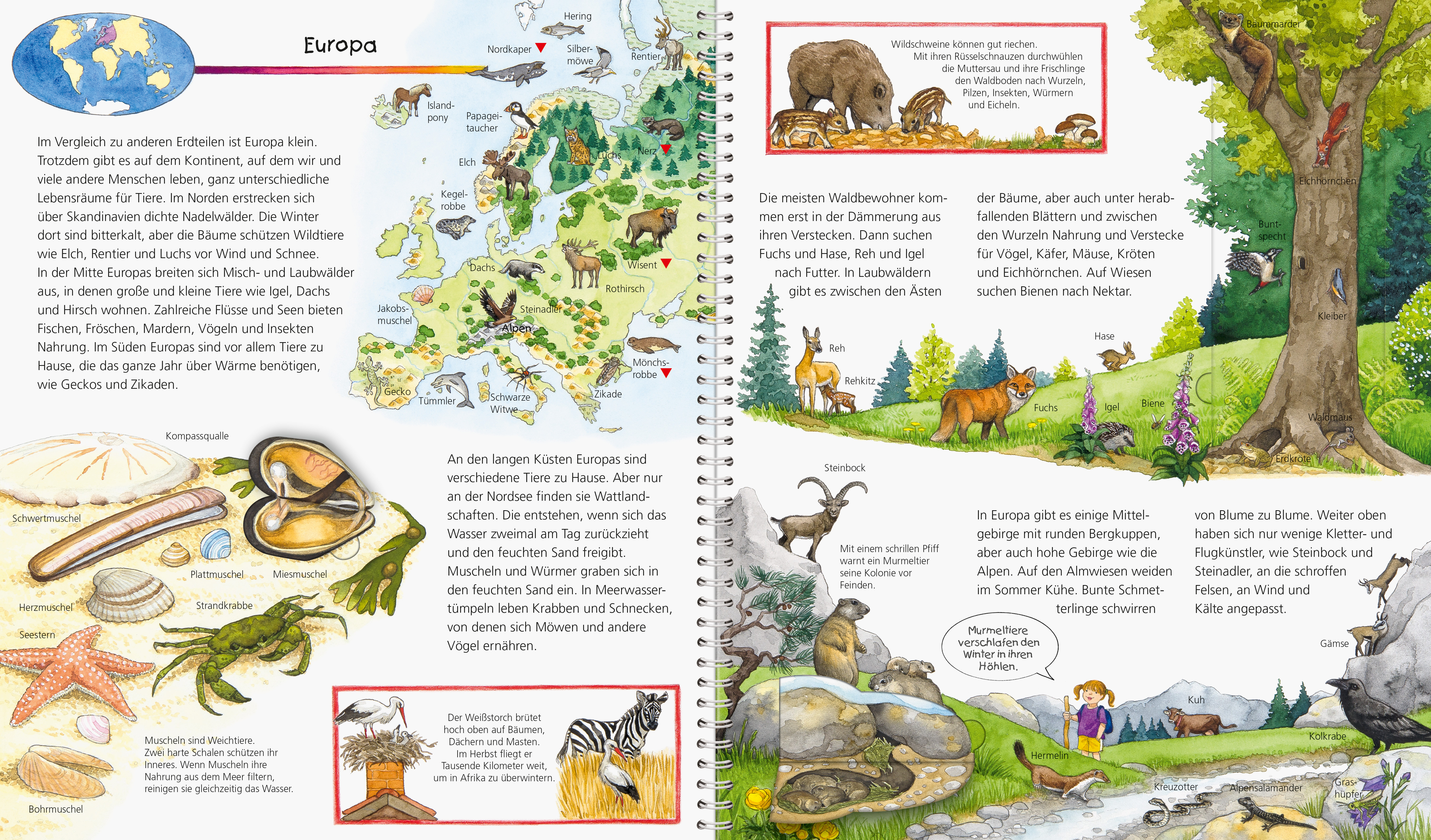 9783473326013_innenansicht_02 9783473326013_innenansicht_02.jpg