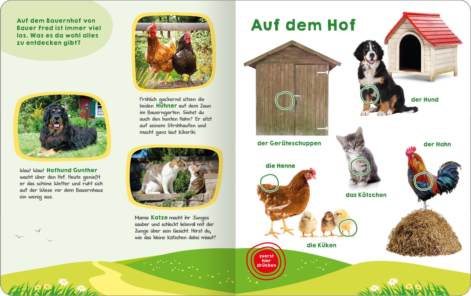 9783845852294_innenansicht_01.jpg