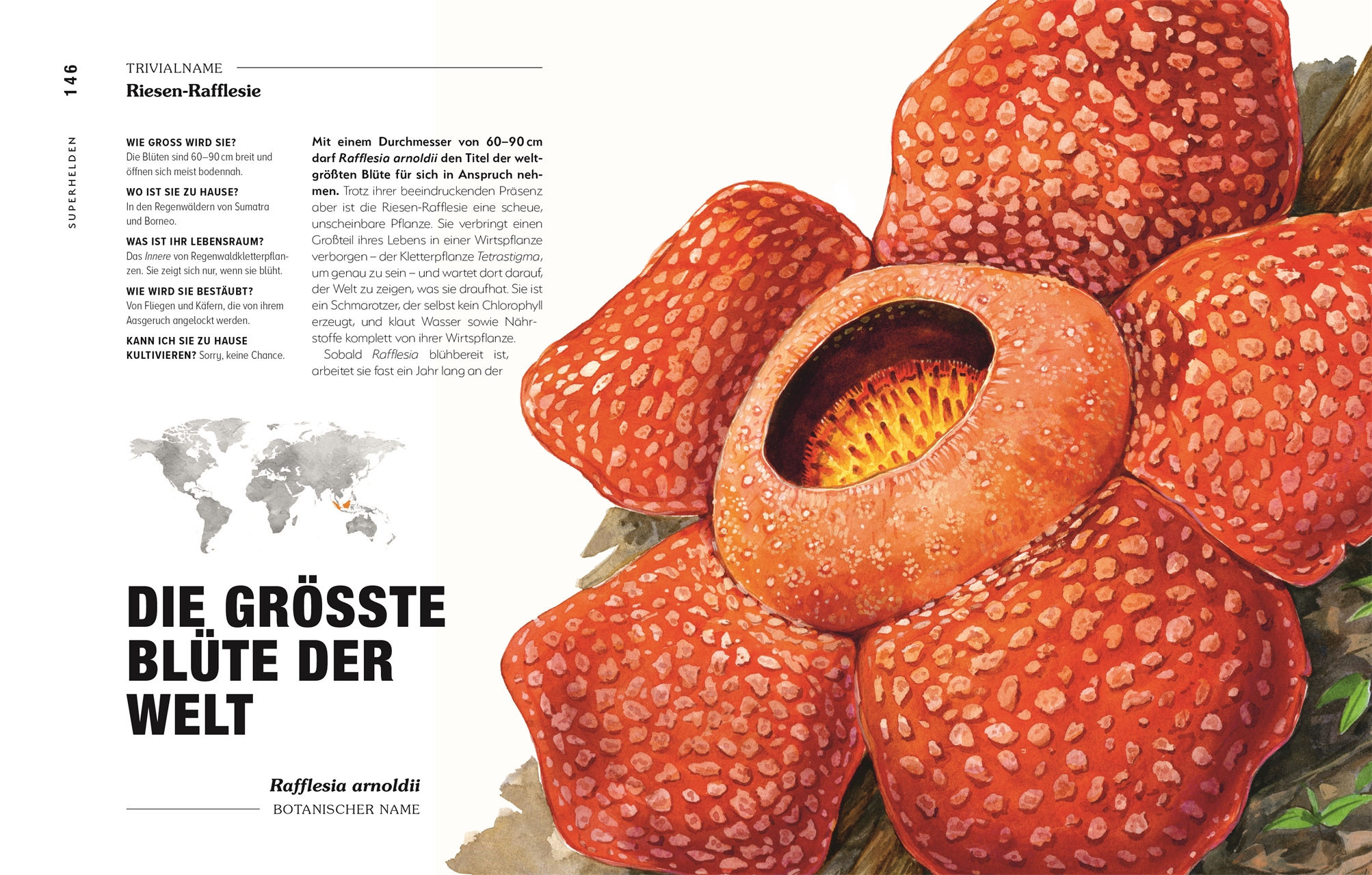 9783831047406_innenansicht_06 9783831047406_innenansicht_06.jpg