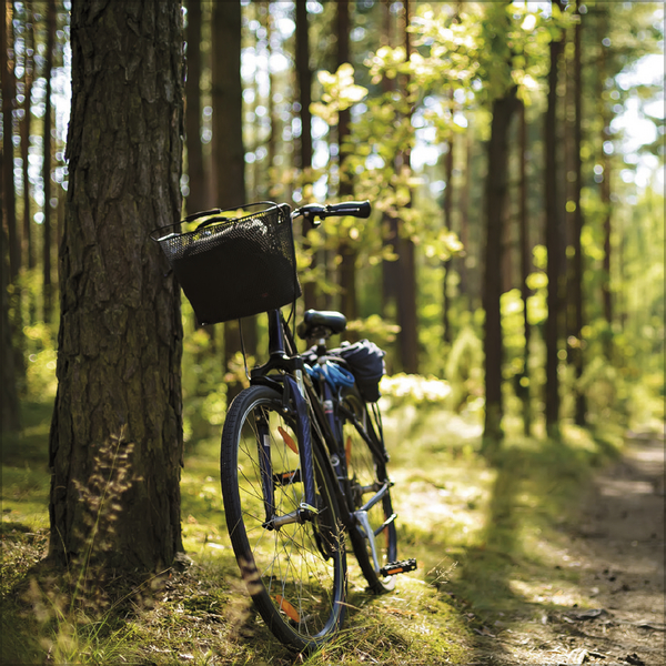 9783731890201_innenansicht_05 9783731890201_innenansicht_05.jpg