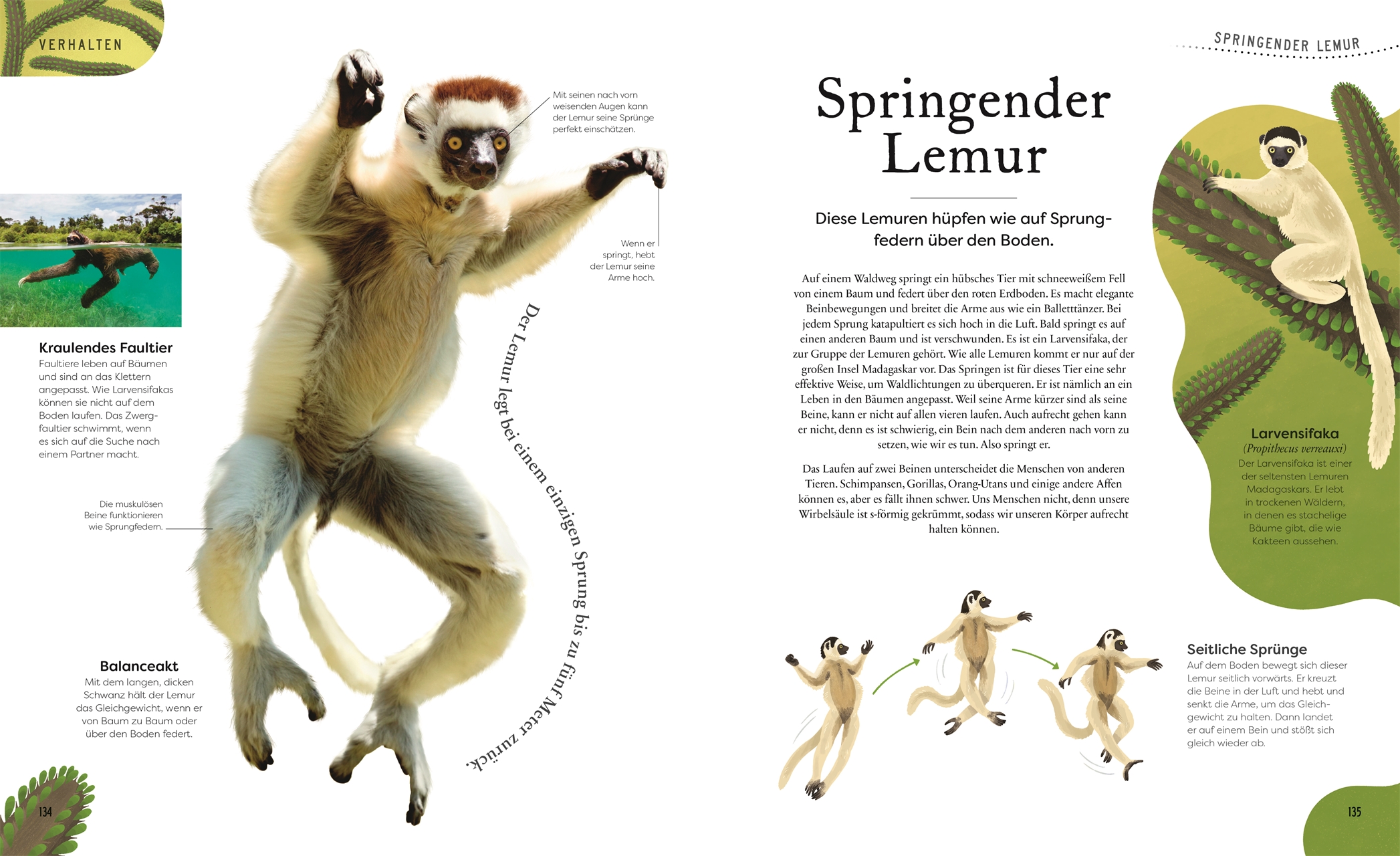 9783831049127_innenansicht_06 9783831049127_innenansicht_06.jpg