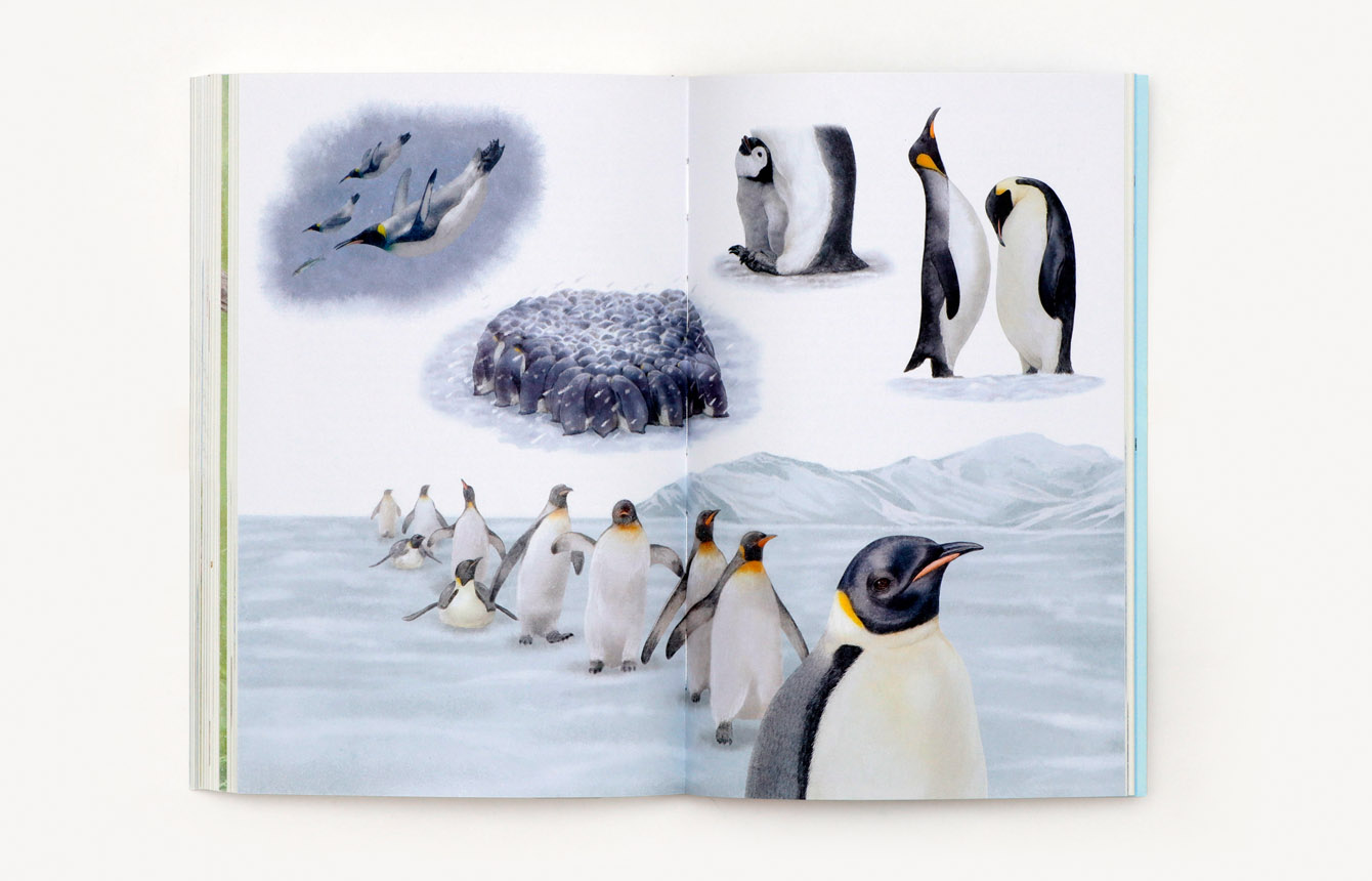 9783962443474_produktbild_04 9783962443474_produktbild_04.jpg