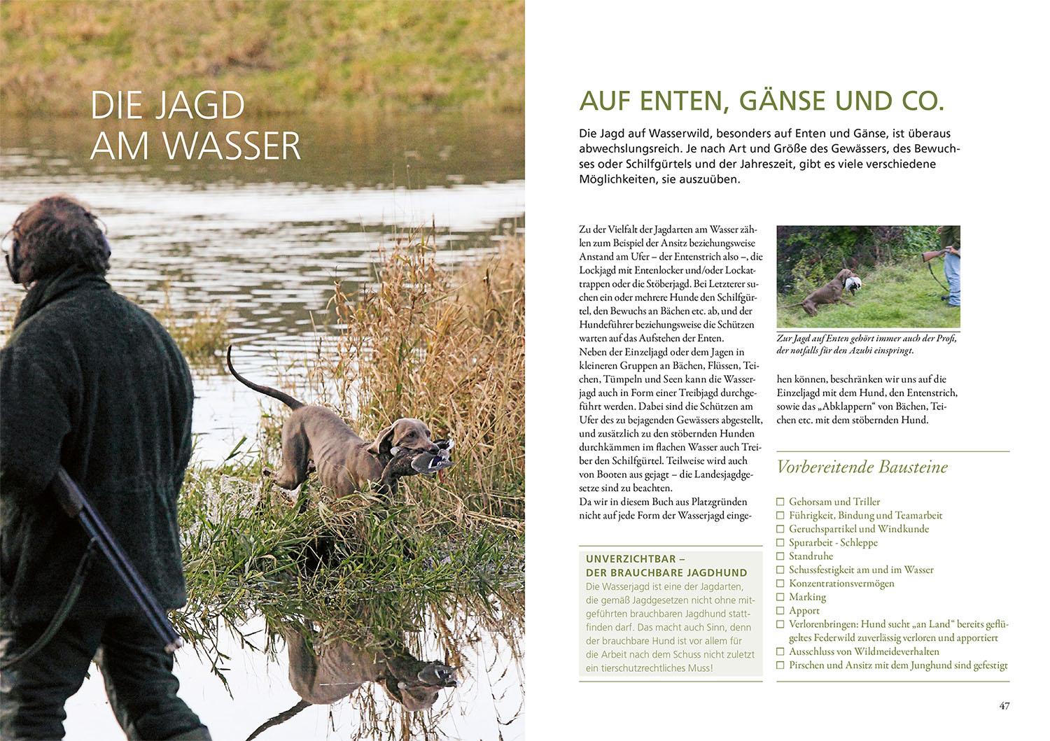 9783440175828_innenansicht_03.jpg