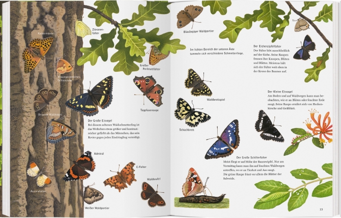 9783836956802_innenansicht_01 9783836956802_innenansicht_01.jpg