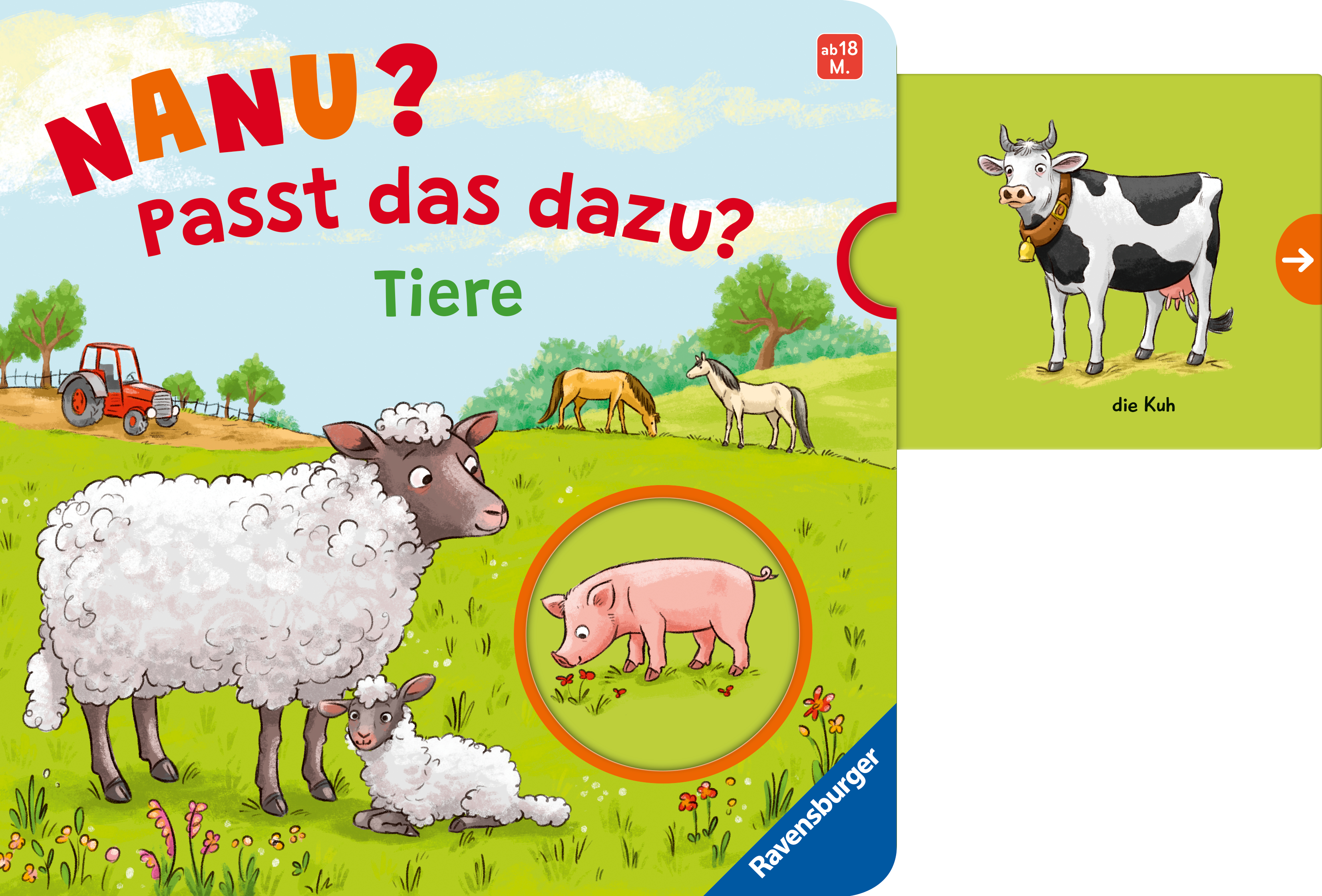 9783473420261_innenansicht_06.jpg