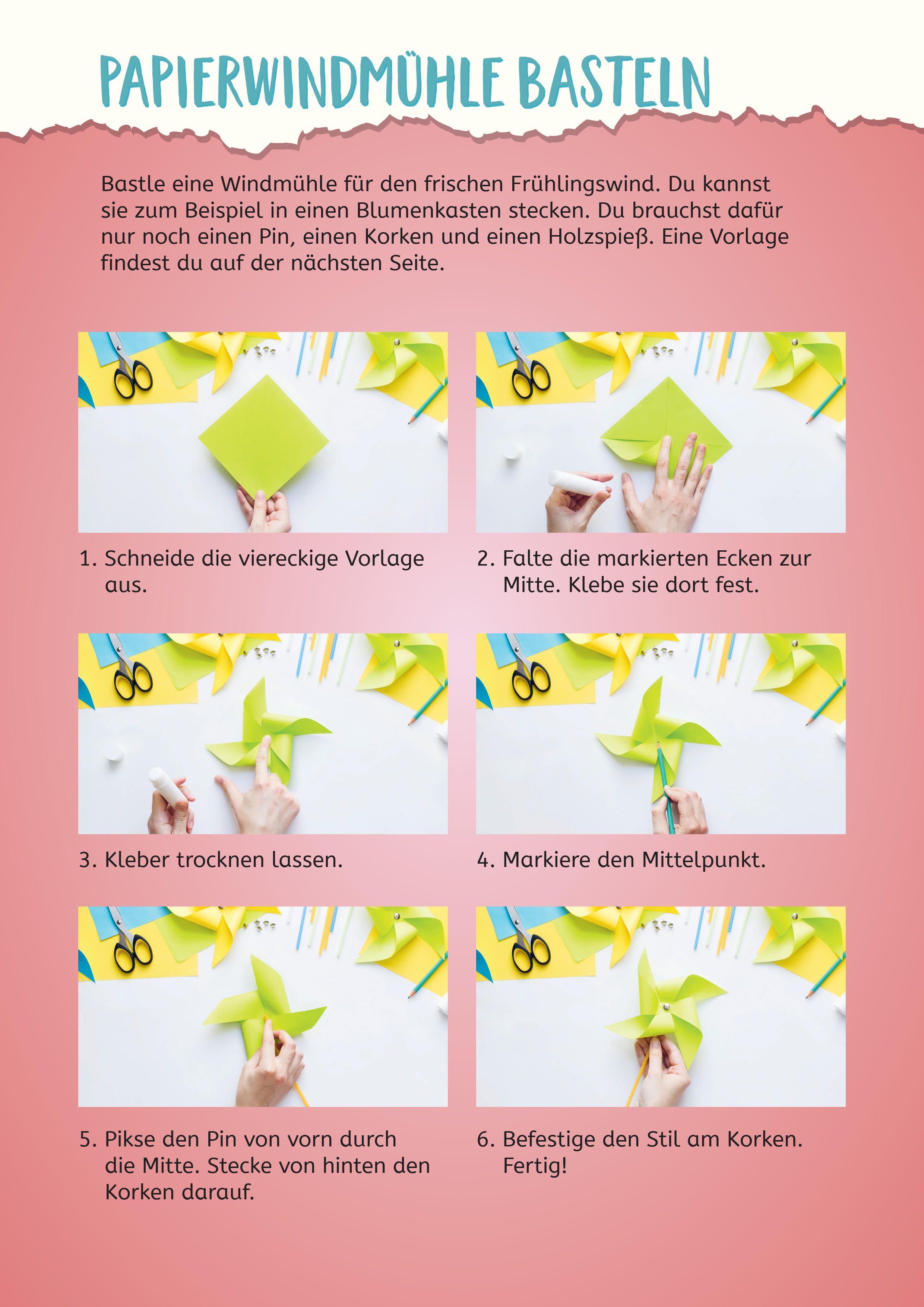 9783833909962_innenansicht_03 9783833909962_innenansicht_03.jpg