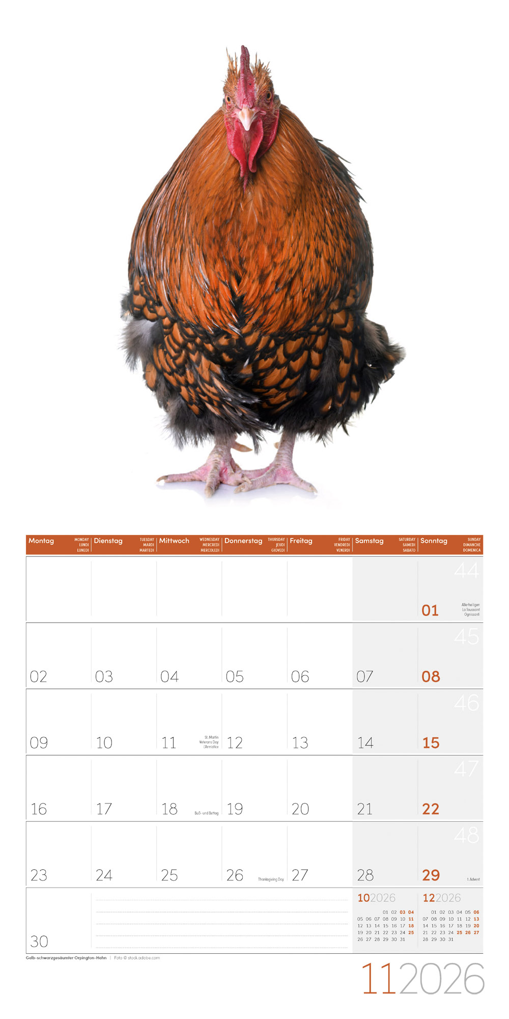 9783838446196_innenansicht_11 9783838446196_innenansicht_11.jpg