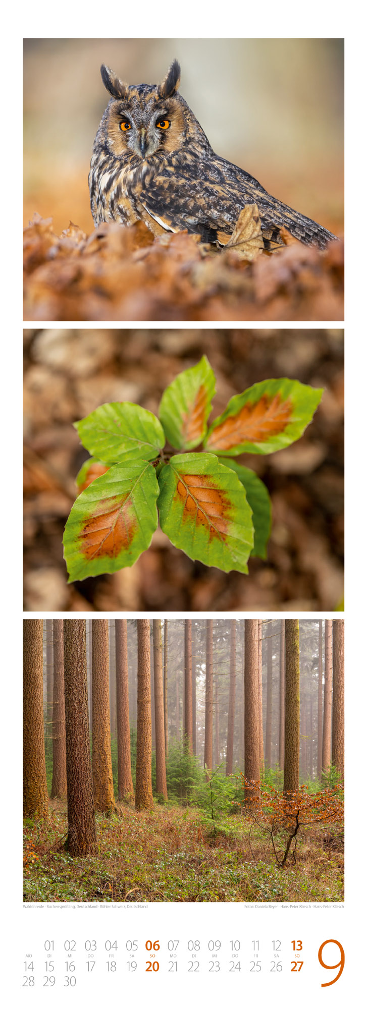 9783838426365_innenansicht_09 9783838426365_innenansicht_09.jpg