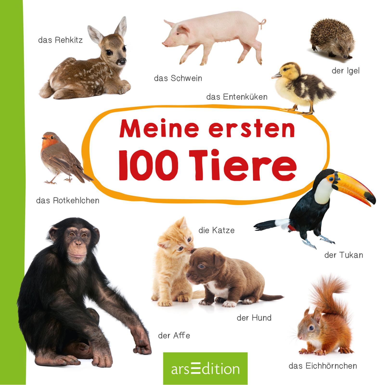 9783845827414_innenansicht_05.jpg