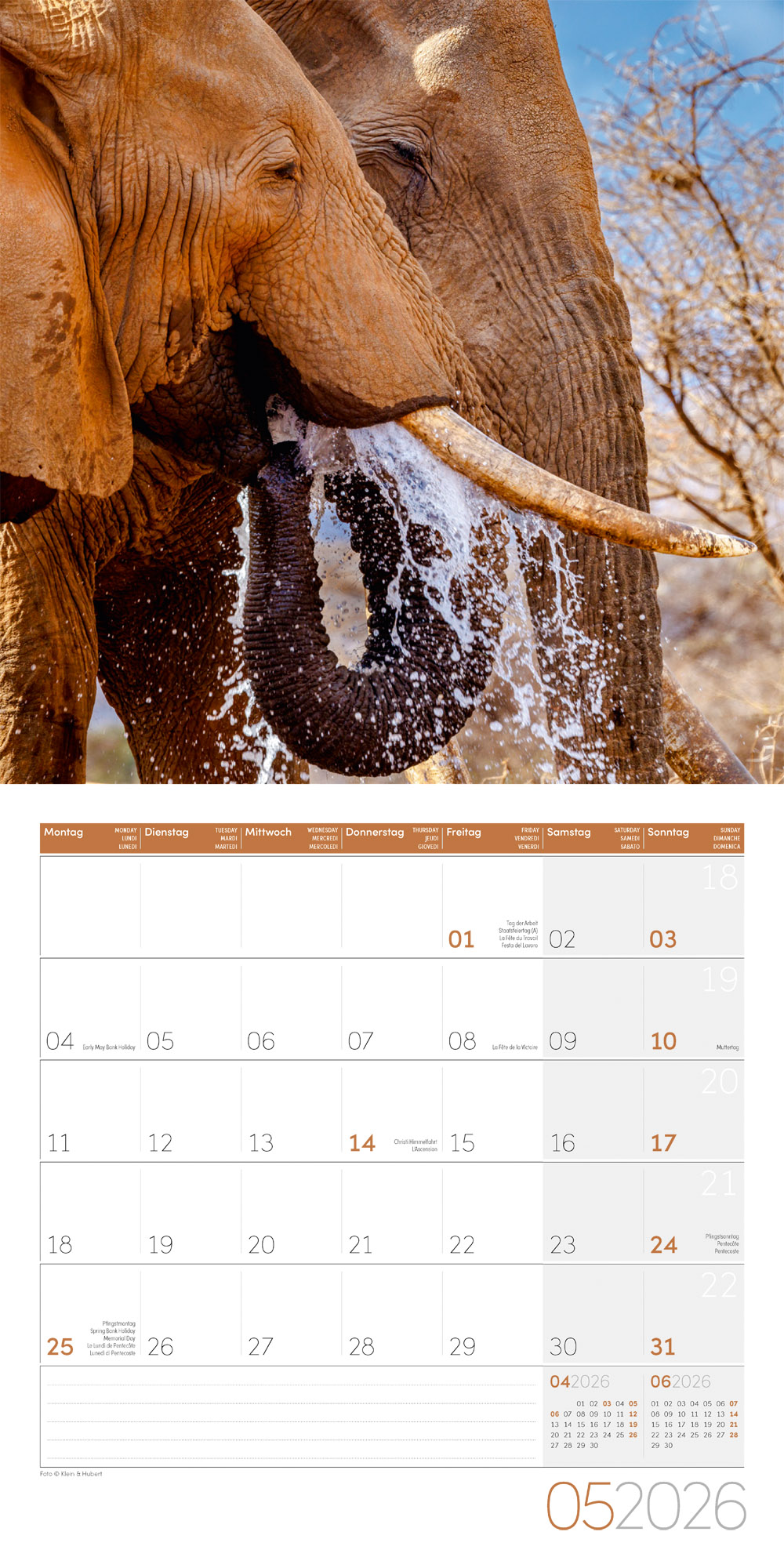 9783838446288_innenansicht_05 9783838446288_innenansicht_05.jpg