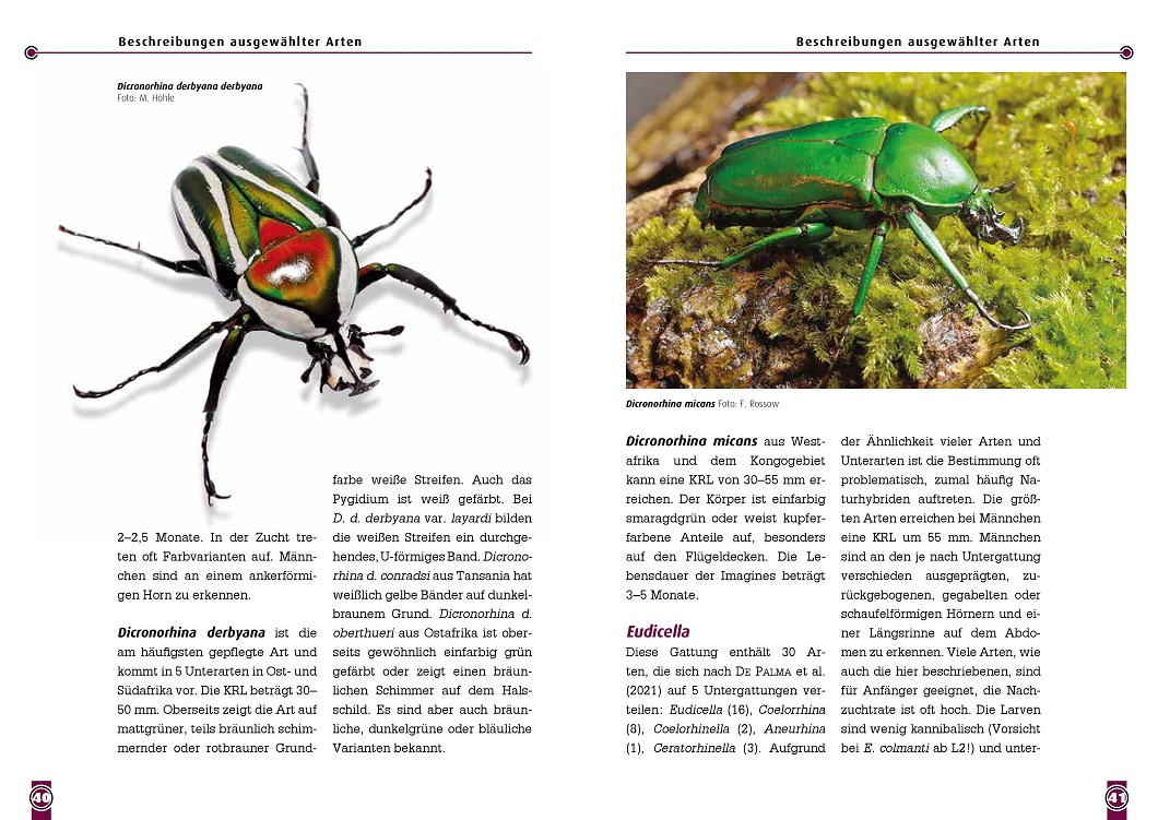 9783866595224_innenansicht_03 9783866595224_innenansicht_03.jpg