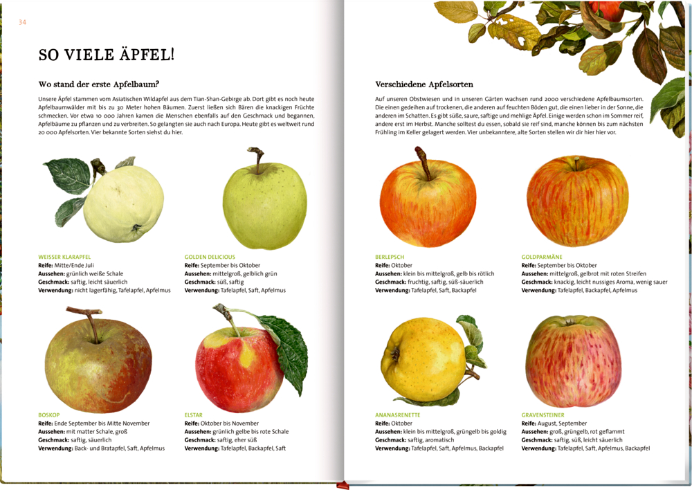 9783649637752_innenansicht_01 9783649637752_innenansicht_01.jpg