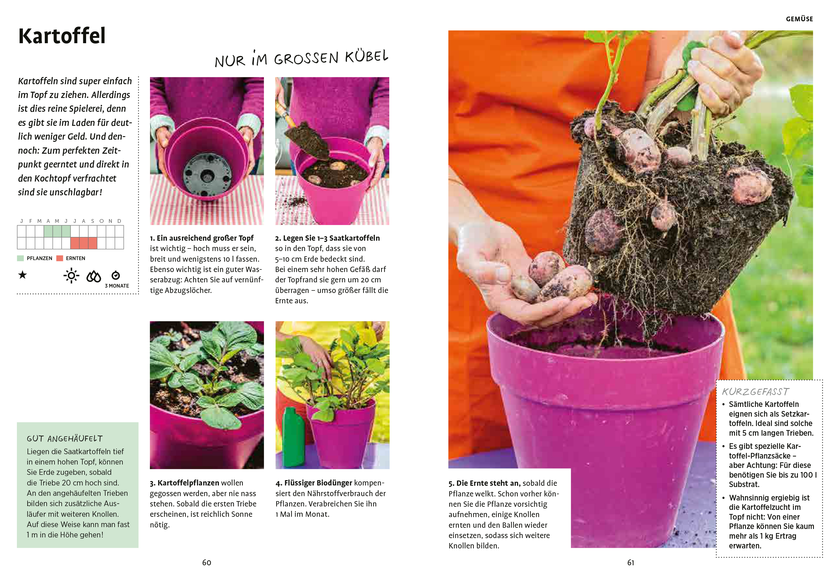 9783818610289_innenansicht_05 9783818610289_innenansicht_05.jpg