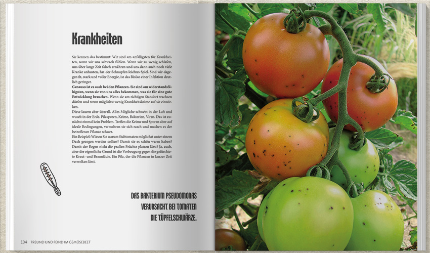 9783784357508_innenansicht_08 9783784357508_innenansicht_08.jpg