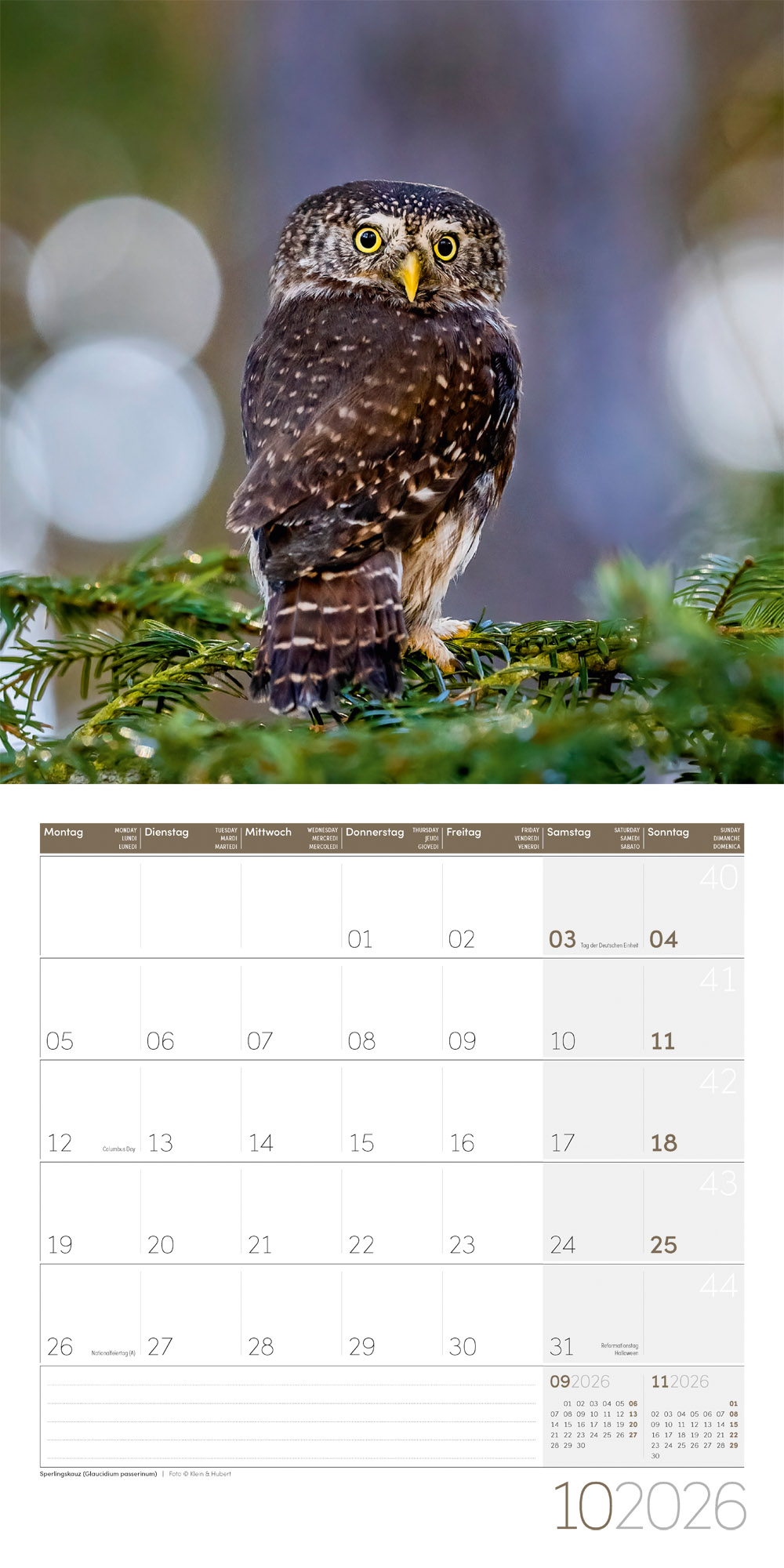 9783838446240_innenansicht_10 9783838446240_innenansicht_10.jpg