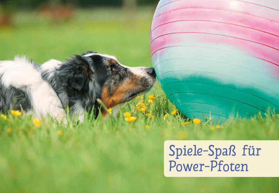 9783818617769_innenansicht_03 9783818617769_innenansicht_03.jpg