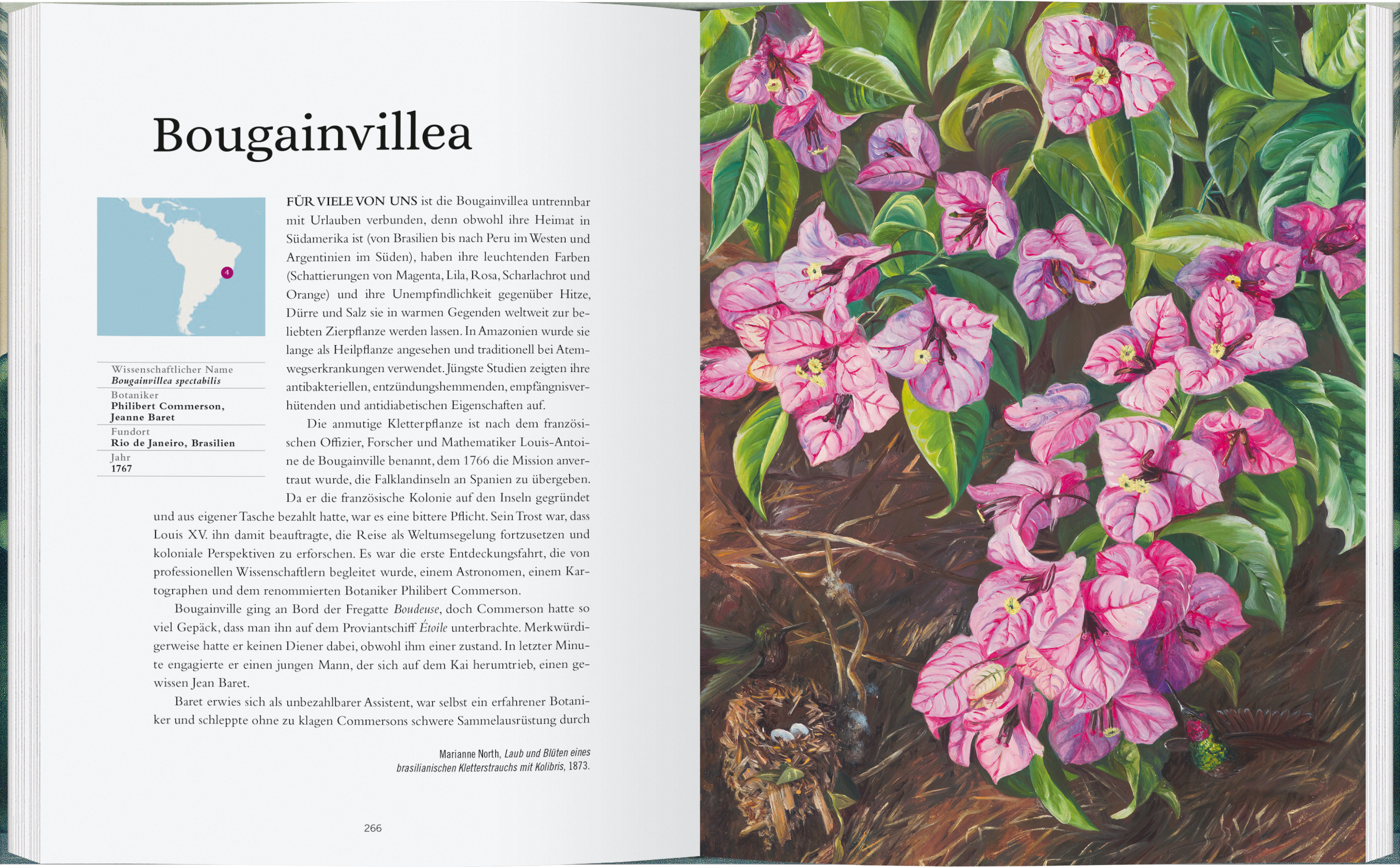 9783836921893_innenansicht_03 9783836921893_innenansicht_03.jpg