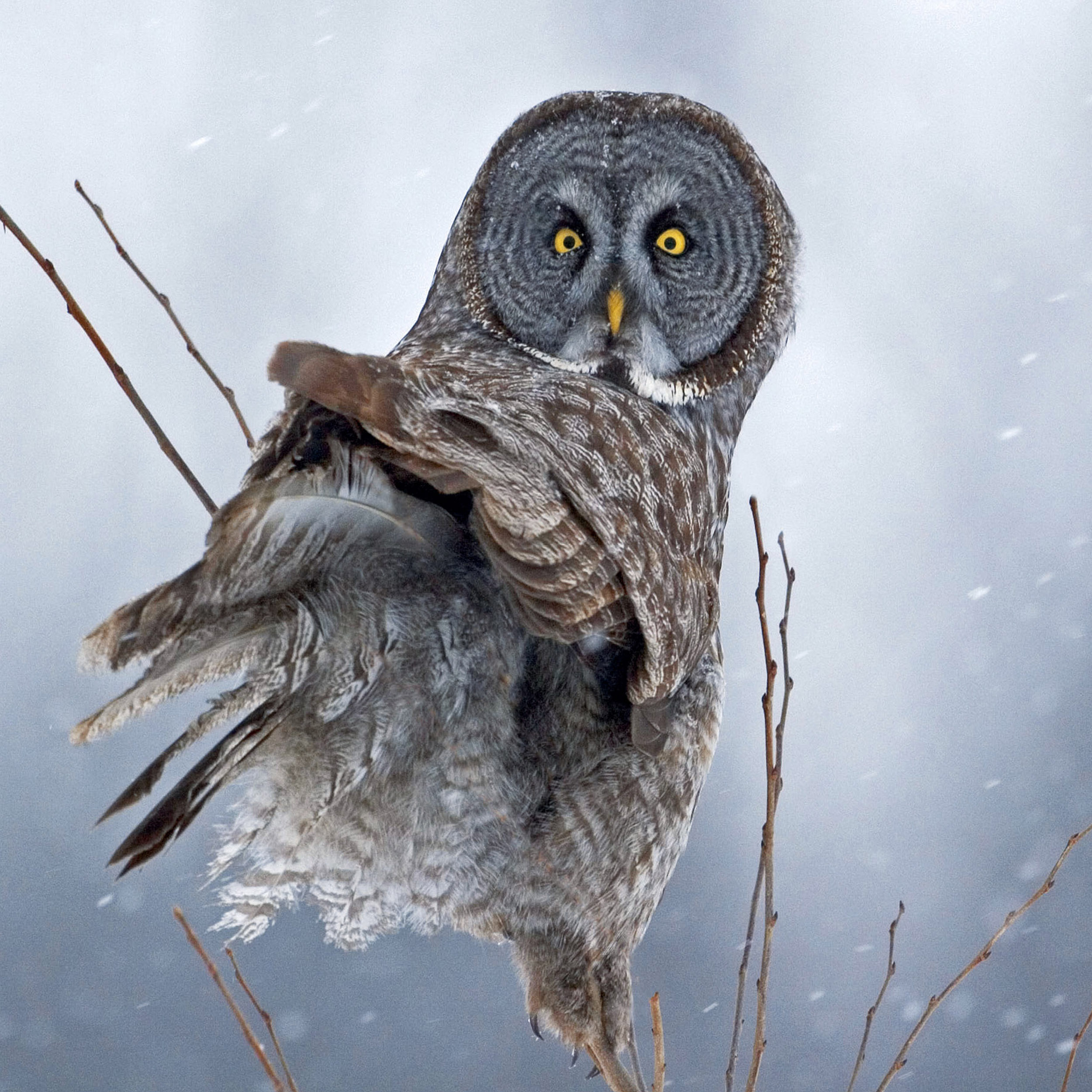 9783959295208_innenansicht_02 9783959295208_innenansicht_02.jpg