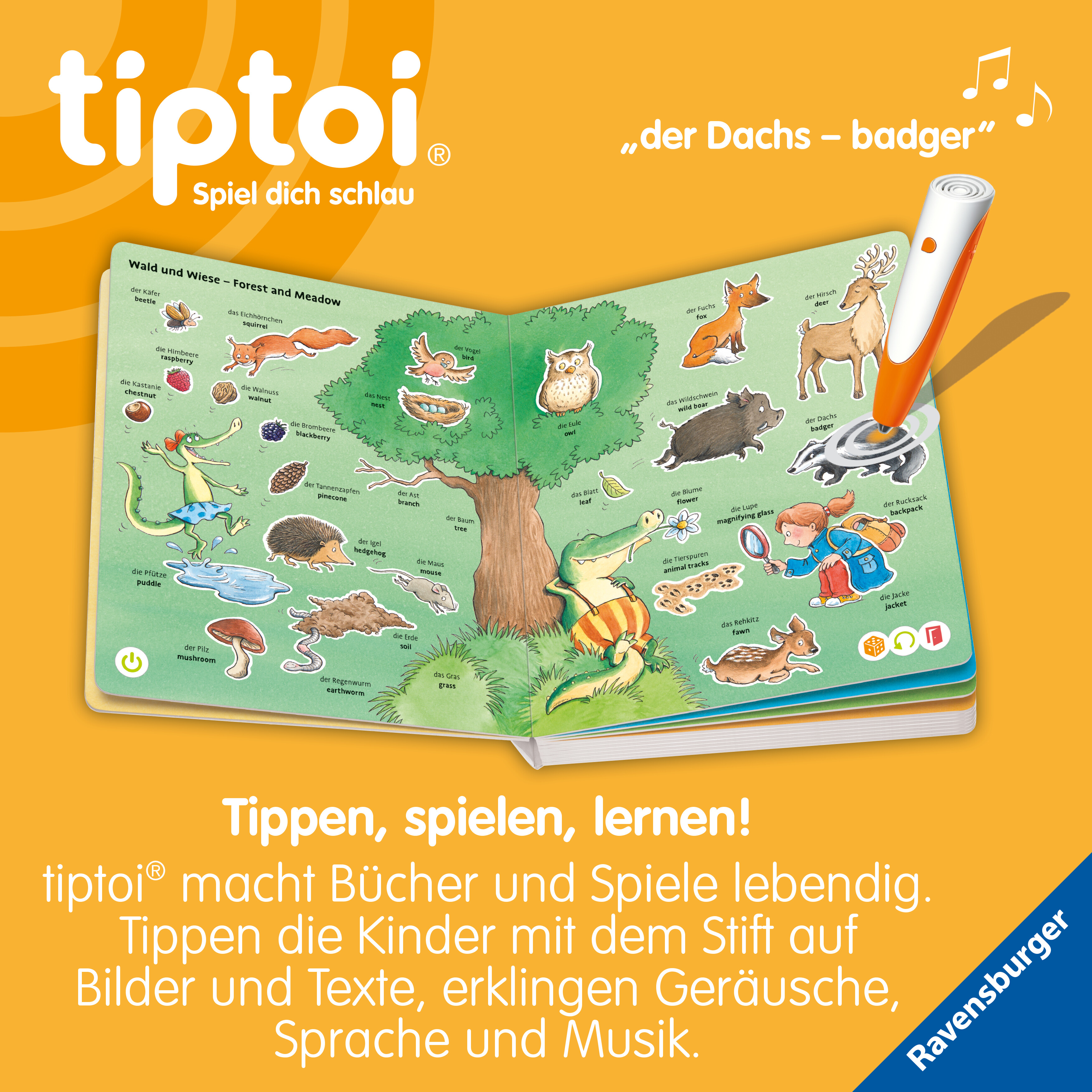 9783473492978_innenansicht_02.jpg