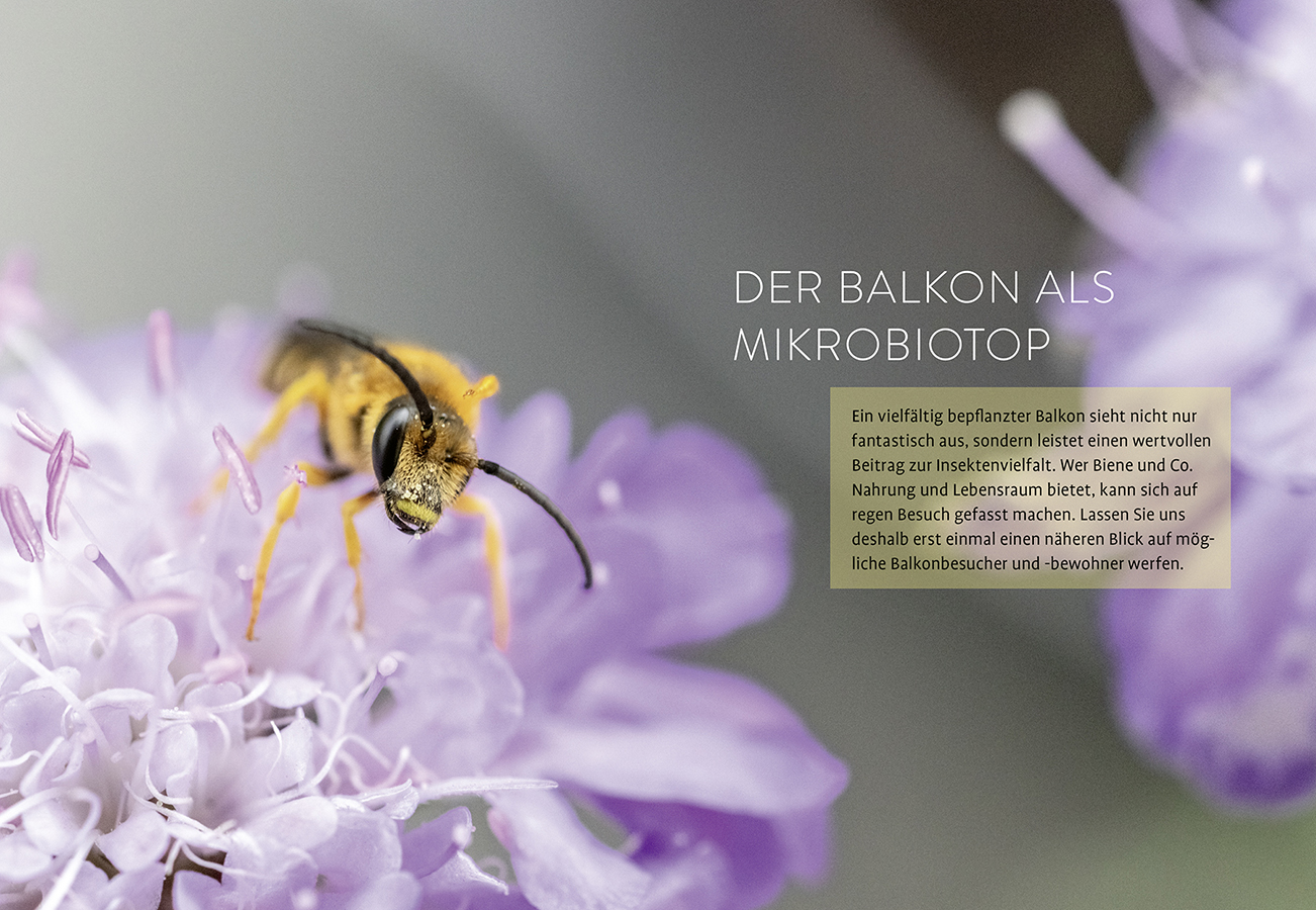 9783818624705_innenansicht_01.jpg