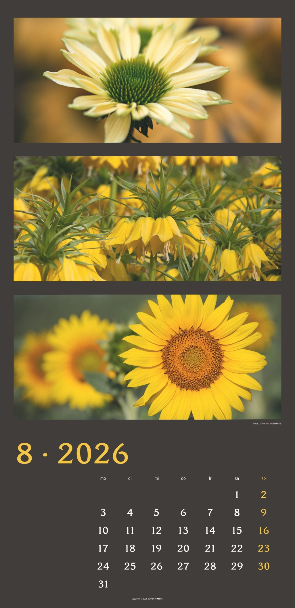 9783839902226_innenansicht_08.jpg