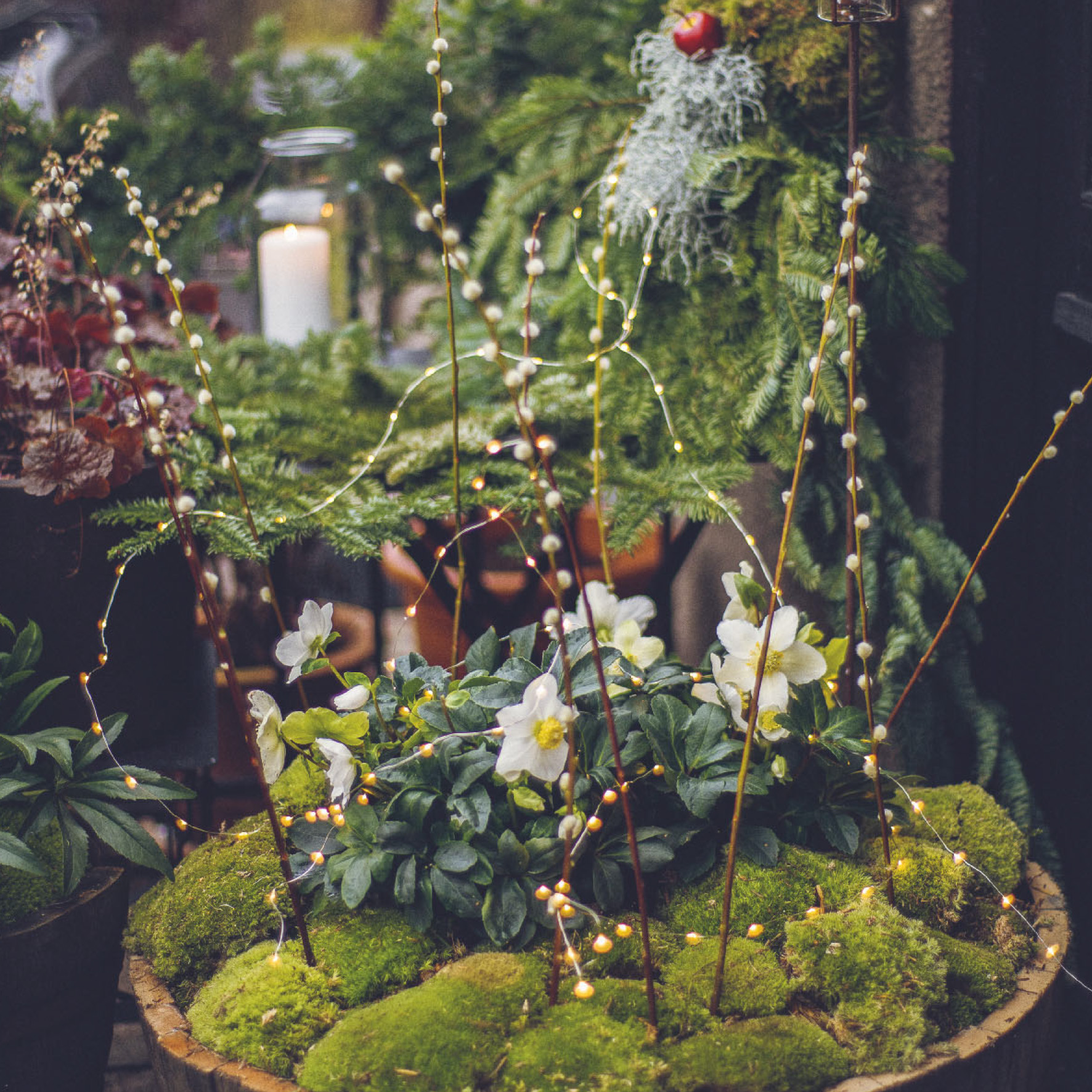 9783735852946_innenansicht_03 9783735852946_innenansicht_03.jpg