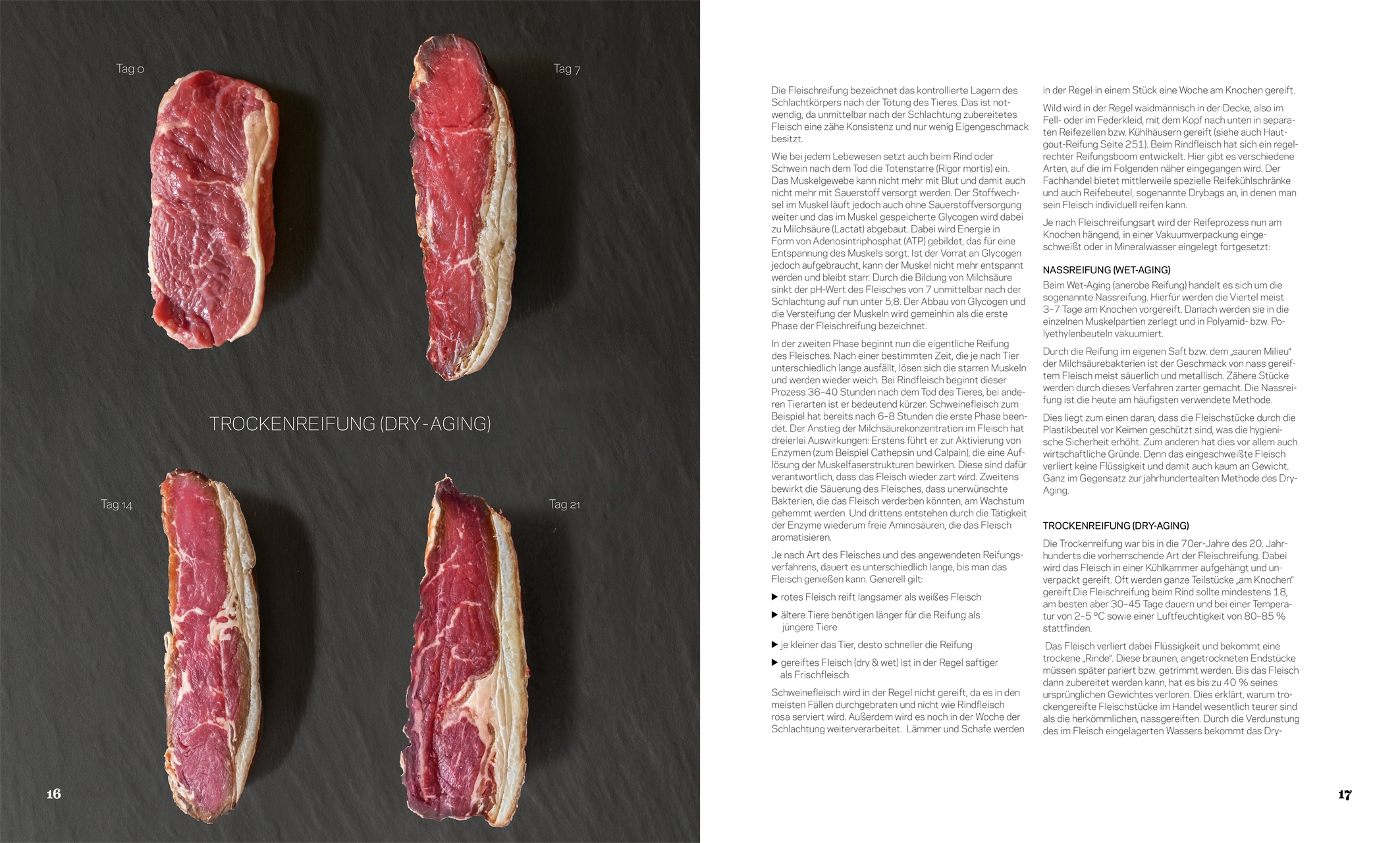 9783985410613_innenansicht_07 9783985410613_innenansicht_07.jpg