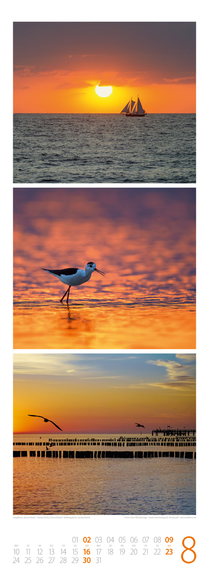 9783838426488_innenansicht_08 9783838426488_innenansicht_08.jpg